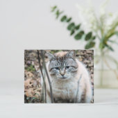 Katze Karte (Stehend Vorderseite)