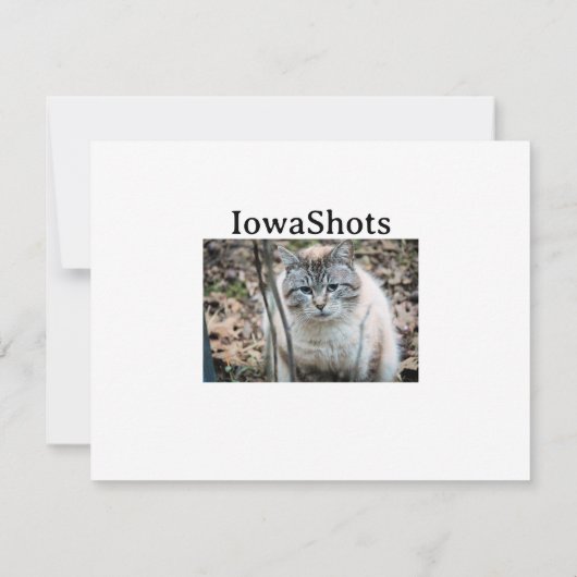 Katze Karte (Rückseite)