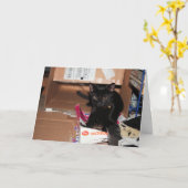 Katze Karte (Gelbe Blume)