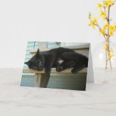 Katze Karte (Gelbe Blume)