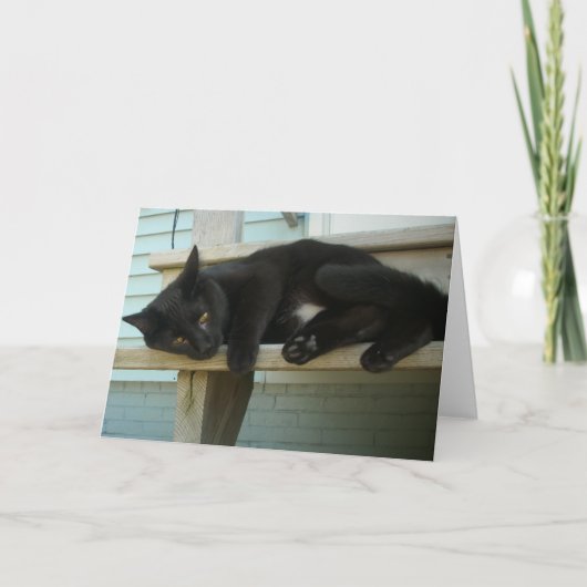 Katze Karte (Vorderseite)