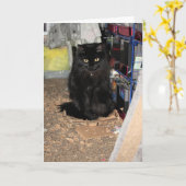 Katze Karte (Gelbe Blume)