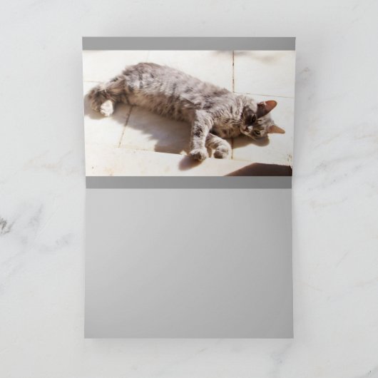 KATZE KARTE (Innenseite)