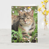 Katze Karte (Gelbe Blume)