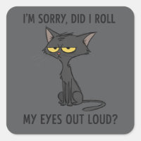Katze Kätzchen Habe ich meine Augen laut verdreht 