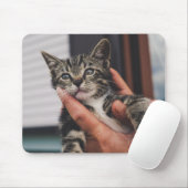 Katze, Kätzchen, Hand Mousepad (Mit Mouse)