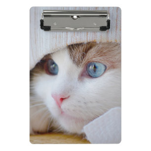 Katze, Kätzchen, Haustier Mini Klemmbrett
