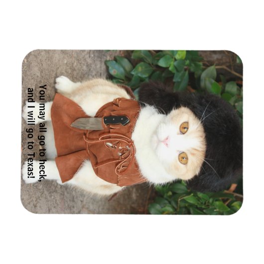 Katze/Kätzchen in der Buckskin-Kette mit grobem Cr Magnet (Horizontal)