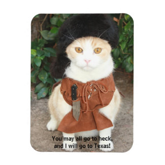 Katze/Kätzchen in der Buckskin-Kette mit grobem Cr Magnet