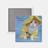 Katze/Kätzchen in gelbem Schleiermantel Magnet (Vorderseite/Rückseite)