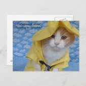 Katze/Kätzchen in gelbem Schleiermantel Postkarte (Vorne/Hinten)