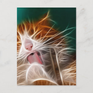 Katze Kätzchen Kätzchen süßes Haustier schnurren m Postkarte