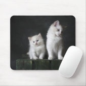Katze, Kätzchen, Katze Mousepad (Mit Mouse)