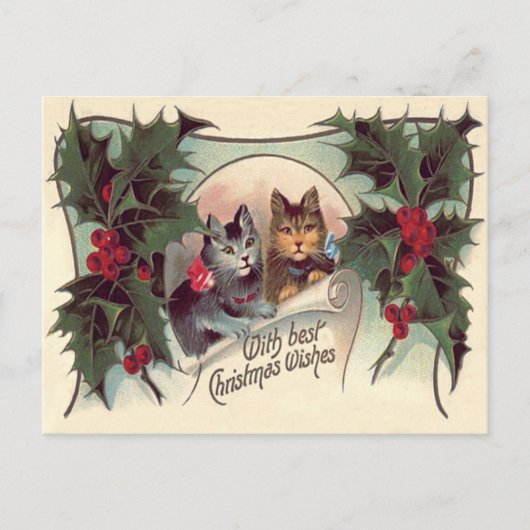 Katze Kätzchen Stechpalme Postkarte (Vorderseite)