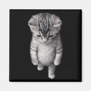 Katze Kätzchen Süß Lustig Liebhaber Minimal Design Magnet