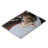 Katze, Kätzchen, Tier Notizblock (Linke Seite)