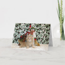 Katze, Kätzchen, Weihnachten, Rettung, Foto Feiertagskarte