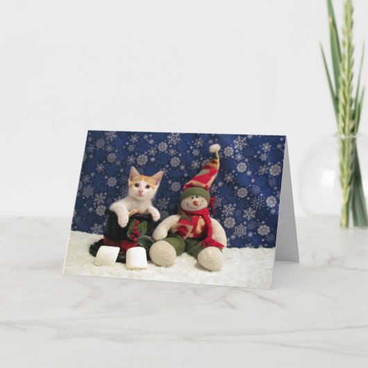 Katze, Kätzchen, Weihnachten, Rettung, Foto Feiertagskarte (Vorderseite)