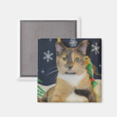 Katze, Kätzchen, Weihnachten, Rettung, Foto Magnet (Vorderseite/Rückseite)