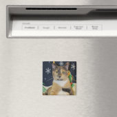 Katze, Kätzchen, Weihnachten, Rettung, Foto Magnet (In Situ (Geschirrspüler))