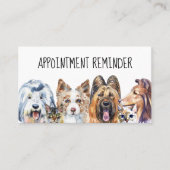 Katze Katze Katze Groomer Erinnerung Terminkarte (Vorderseite)