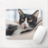 Katze, Katze, Katze Mousepad (Mit Mouse)