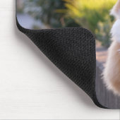 Katze, Katze, Katze, Mousepad (Ecke)