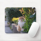 Katze, Katze, Katze, Mousepad (Mit Mouse)