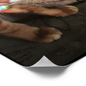 Katze, Katze, lustig, niedlich, kitty, kitten, sch Poster (Ecke)