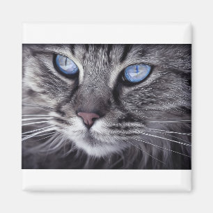 Katze Katze Portrait Kat's Eyes Tiger Cat Magnet