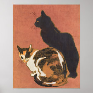katze,katzen,süß,antiquarisch,kätzchen,tier,kätzch poster