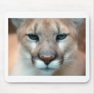 Katze Katzen wilde Streifen Druck diy Jahrestage Mousepad