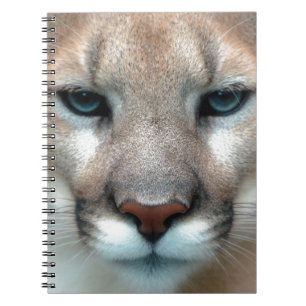 Katze Katzen wilde Streifen Druck diy Jahrestage Notizblock