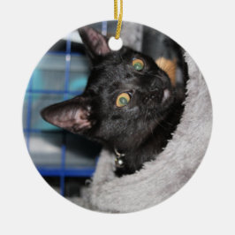Katze Keramik Ornament
