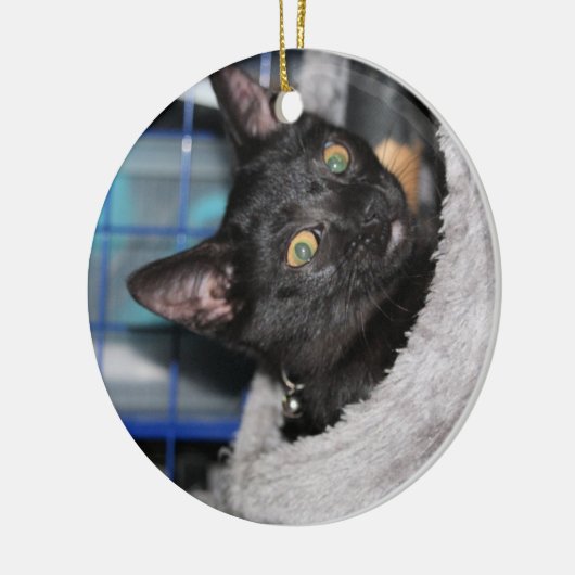 Katze Keramik Ornament (Links)
