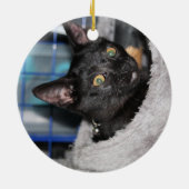 Katze Keramik Ornament (Hinten)