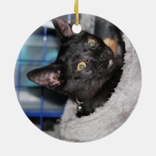 Katze Keramik Ornament (Hinten)