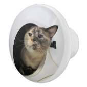 Katze Keramikknauf (Rechts)