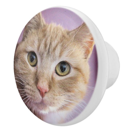 Katze Keramikknauf (Rechts)