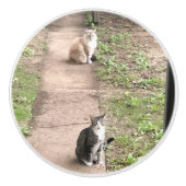 Katze Keramikknauf (Vorderseite)