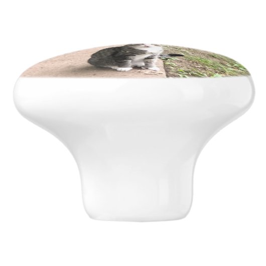 Katze Keramikknauf (Seitenansicht)