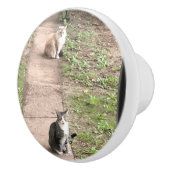 Katze Keramikknauf (Rechts)