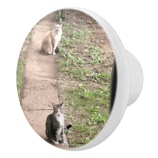 Katze Keramikknauf (Rechts)