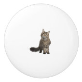 Katze Keramikknauf (Vorderseite)