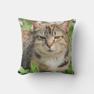 Katze Kissen