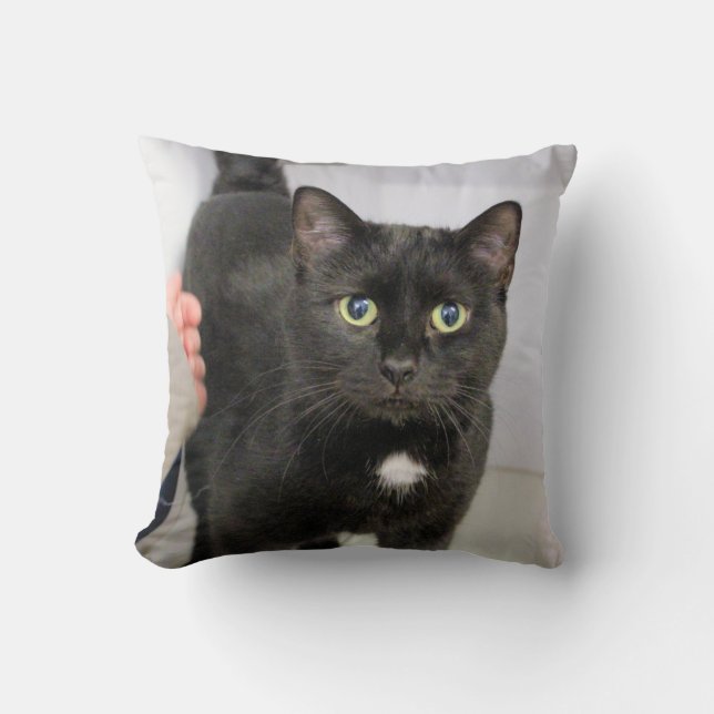 Katze Kissen (Vorderseite)