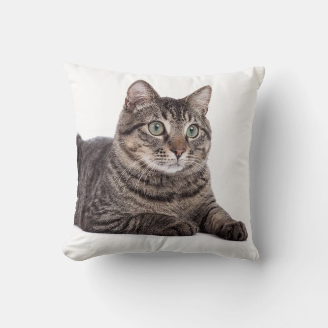 Katze Kissen (Vorderseite)