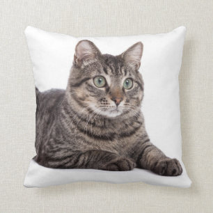 Katze Kissen
