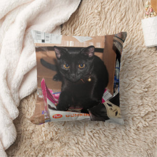 Katze Kissen