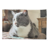 Katze Kissenbezug (Rückseite)